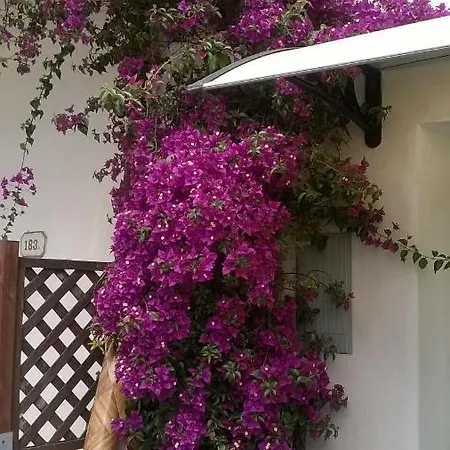 別荘 Rainbow House With Garden